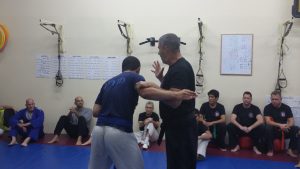 טכניקות הגנה עצמית - ג'יו גי'טסו