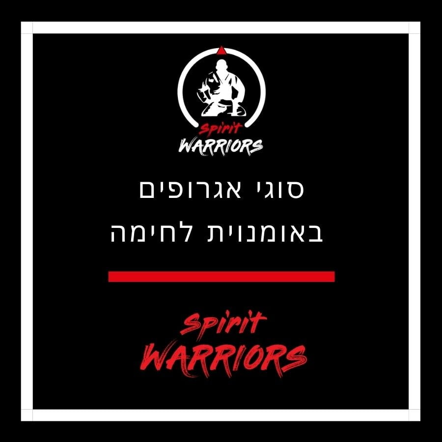 סוגי אגרופים באומנויות לחימה