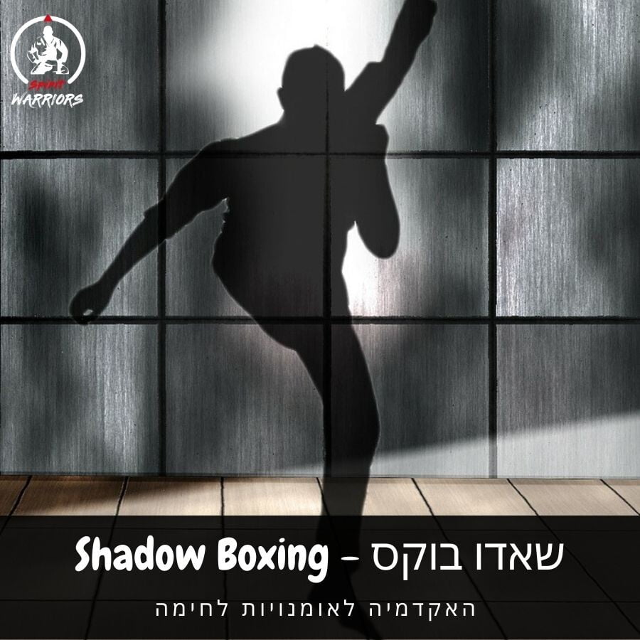 שאדו בוקס - Shadow Boxing